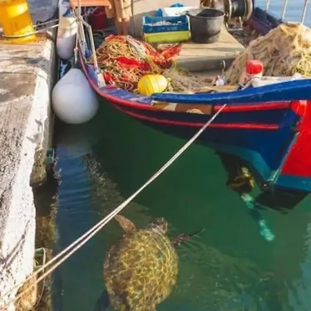 Turtle Bay Apartment Argostoli (Kefalonia)